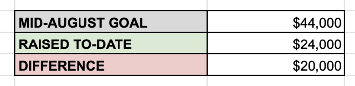 Fundraising spreadsheet